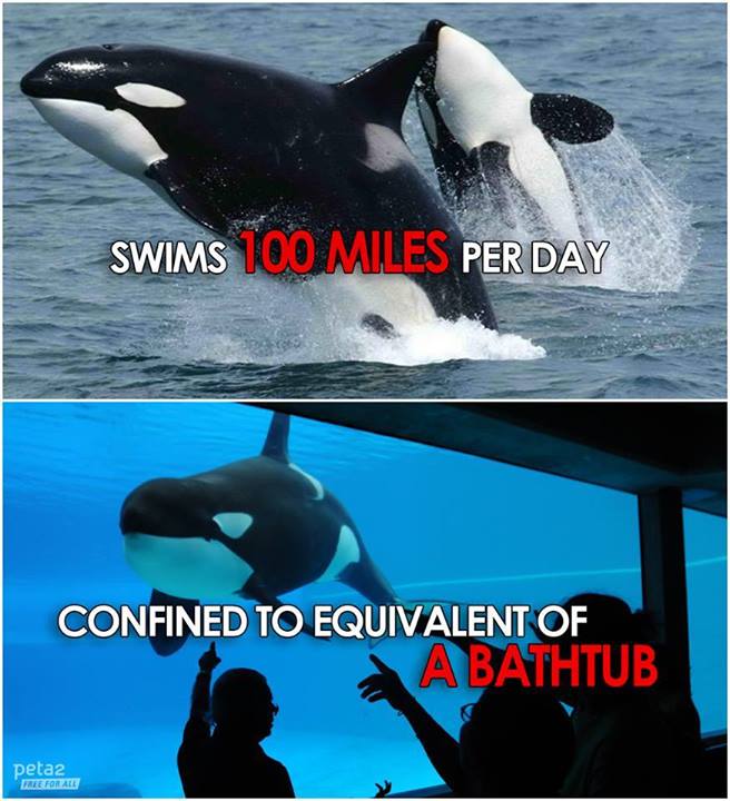 1374274_10152280157249616_531571468_n