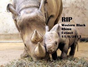 537328_746931575322469_1030042521_n