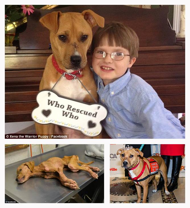 Кой кого спаси