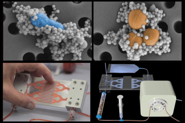 PicMonkey_Collage-web