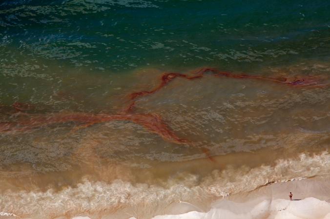 03bpfish.adapt.676.1